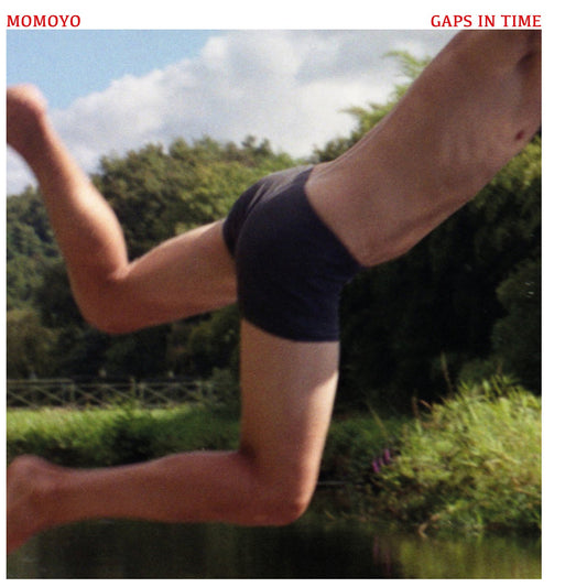 momoyo - Gaps In Time LP